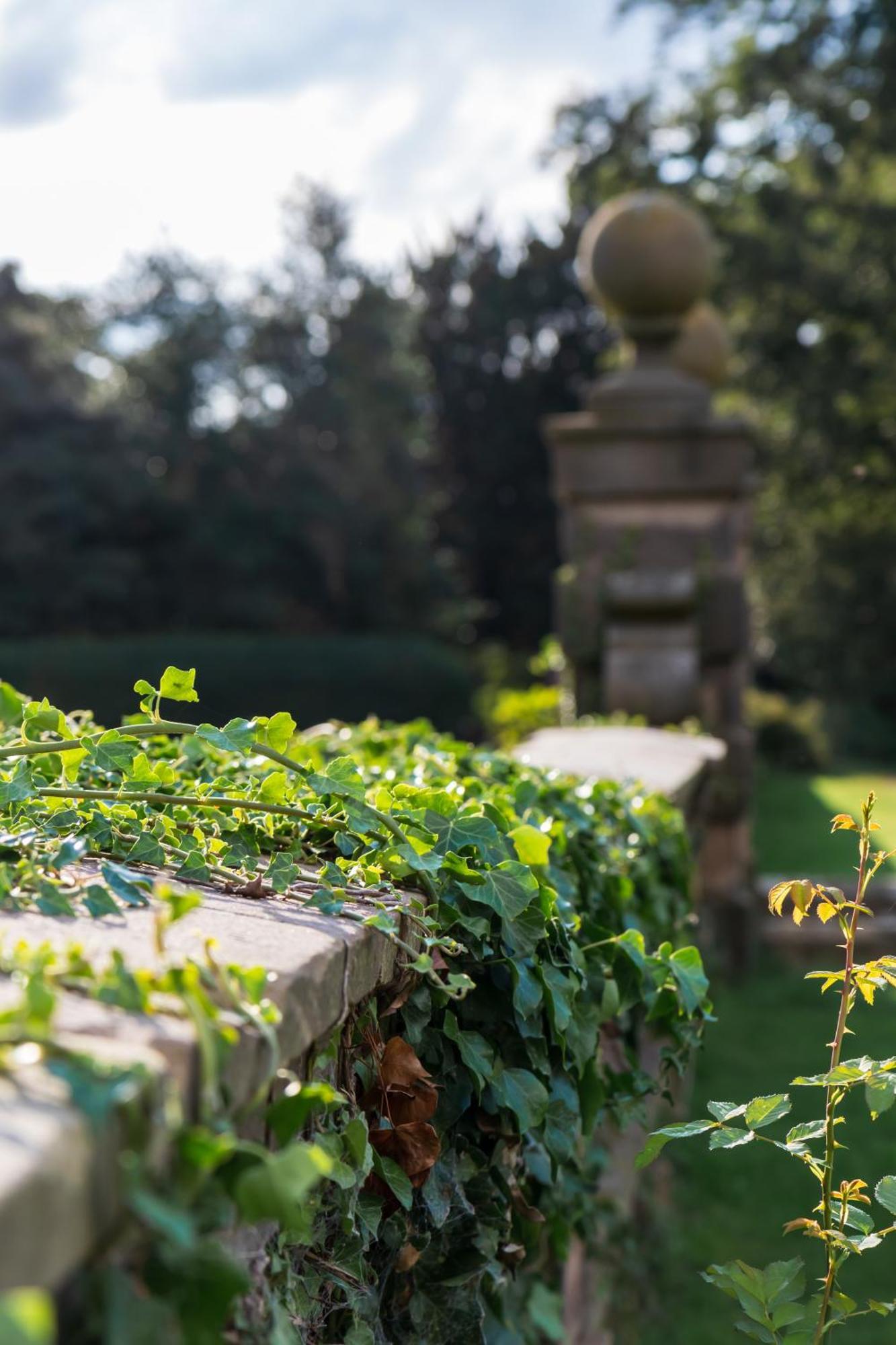 Bosworth Hall Hotel & Spa Market Bosworth Exteriör bild